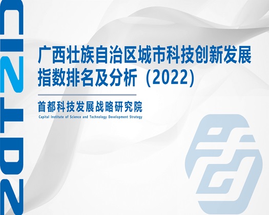 大鸡巴操大逼【成果发布】广西壮族自治区城市科技创新发展指数排名及分析（2022）